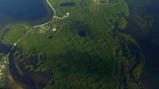 Мангровый лес антенна, Тампа Бэй, 4k — стоковое видео