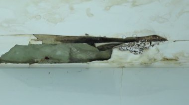 Hasarlı tavan, ağır su lekeleri, küf ve çatıdan sızan yağmurdan kaynaklanan çatlaklar. Görüntü nem hasarını ve tavandaki sızıntıdan kaynaklanan mantar büyümesini gösteriyor.