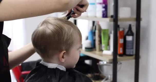 Friseur schneidet Haare glücklich Kind Junge. Lebensstil aus nächster Nähe. Schönheitsbegriff, Hygiene. Rückseite. — Stockvideo