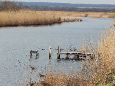 Nehirdeki eski rıhtım kuru çimlerde