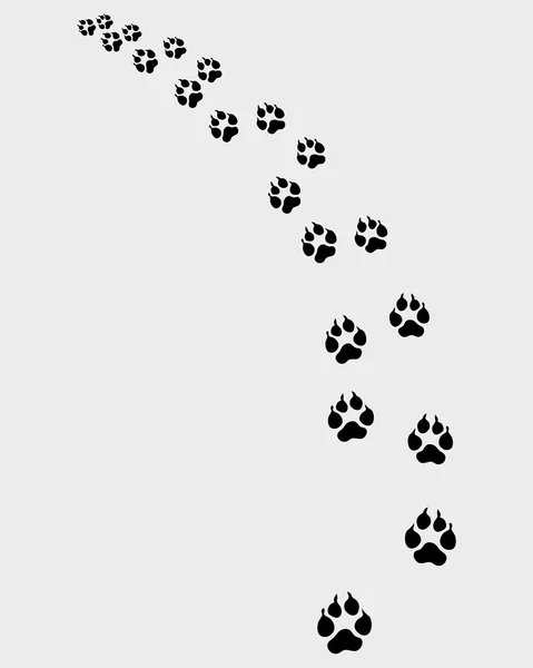 狗的踪迹 — 图库矢量图片