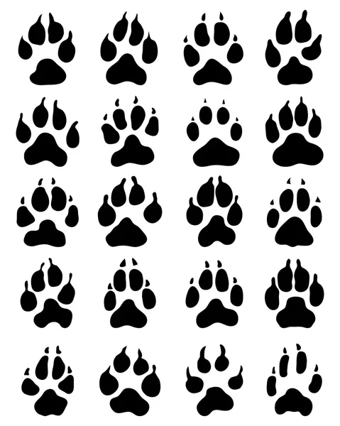 Print of dogs paws — Stock Vector