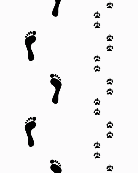 Huellas de pies y patas — Vector de stock