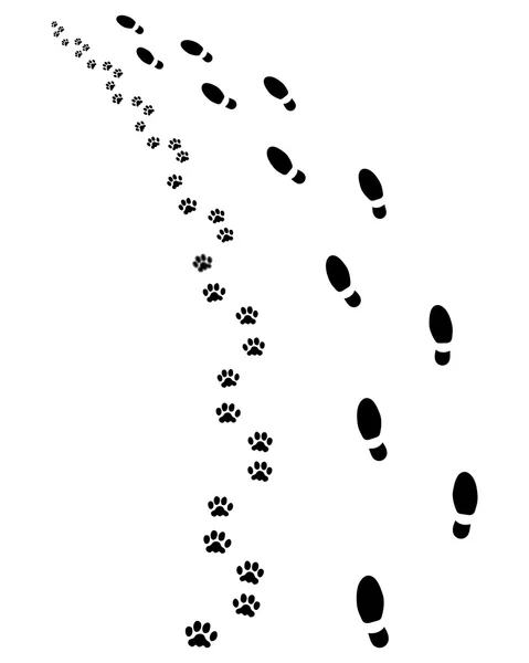 İnsan ve köpek