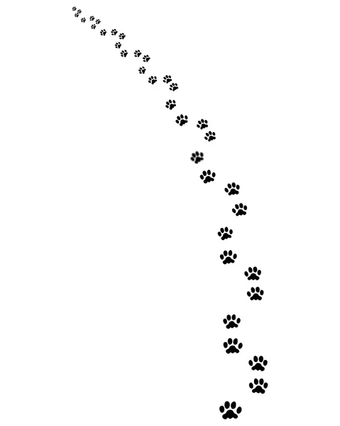 Spoor van hond — Stockvector