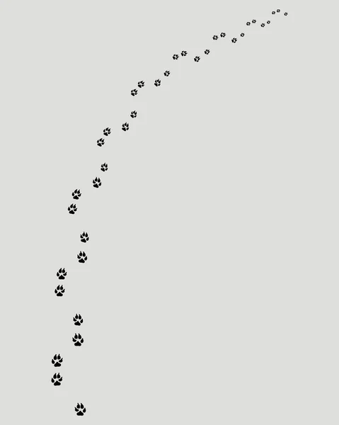 Fußabdrücke des Hundes — Stockvektor