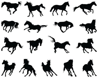 Beyaz arka planda dörtnala koşan siyah at siluetleri.