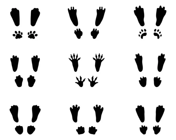 Silhouettes Noires Traces Lapins Sur Fond Blanc — Image vectorielle
