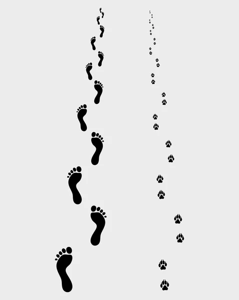 Footprints — Stock Vector