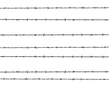 Champ de maïs à la récolte