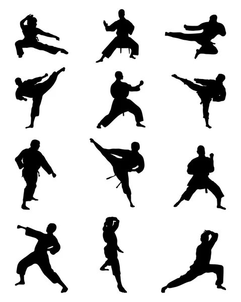 Karate. — Vector de stock