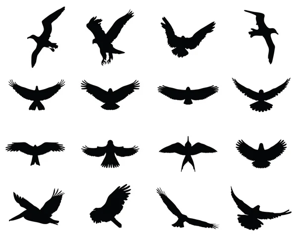 Vogels in vlucht — Stockvector