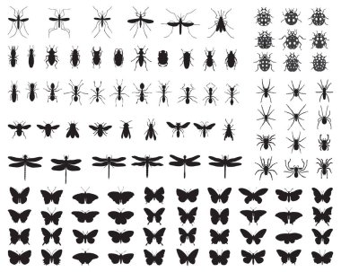 Büyük siyah böcek siluetleri.