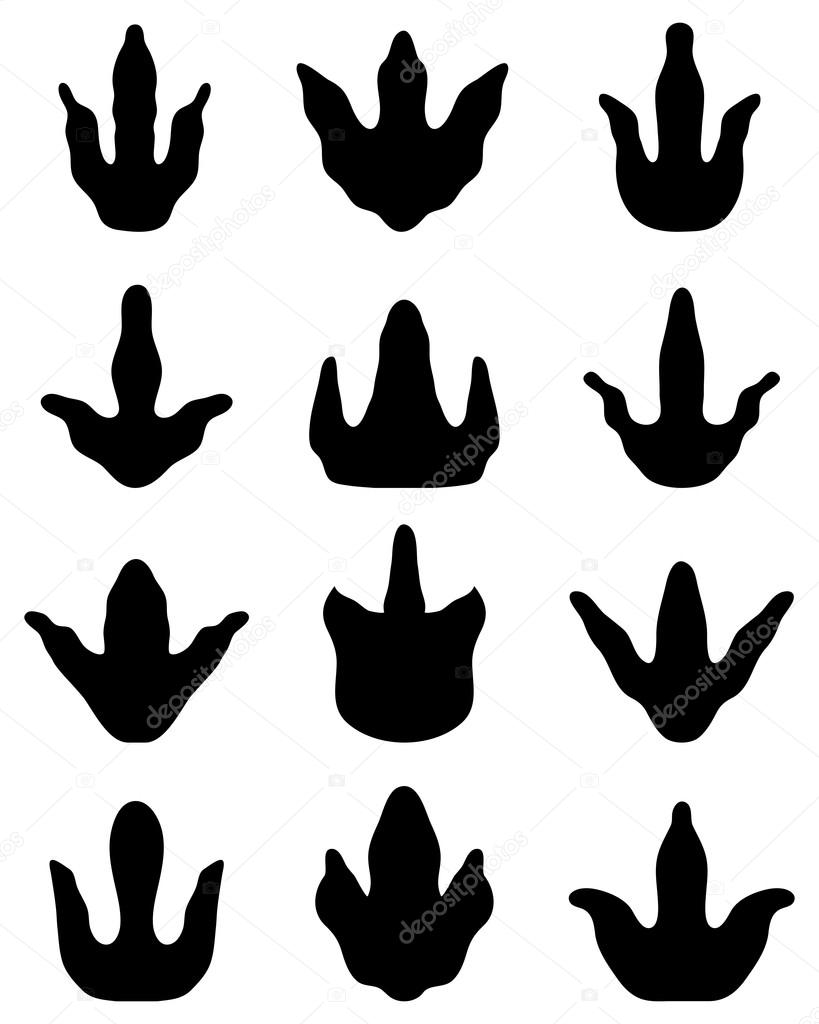 Huella de dinosaurio imágenes de stock de arte vectorial | Depositphotos Huella de dinosaurio imágenes de stock de arte vectorial | Depositphotos