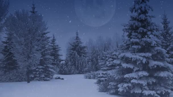 Pine Trees Full Moon Dusk Snow Loop Features Snow Covered — Stock Video