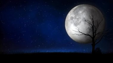 Full Moon Night Sky Silhouette 4K Loop features a starry night sky with a full moon and a dead tree and grass silhouette with birds flying across in a loop.