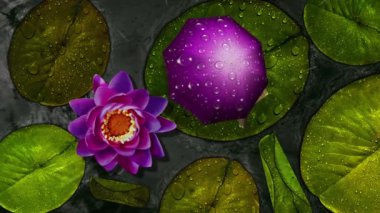 Lily Pad yağmurda karton karakteri rahatlatıcı