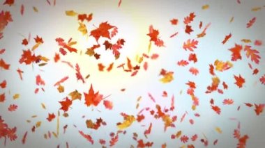 Mutlu Şükran günü düşen ahşap işaretiyle bırakır