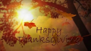 Şükran günün kutlu olsun ağaçların arasından bırakır