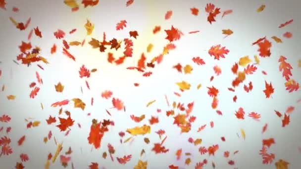Feuilles d'automne tombant avec des garçons jouant dans les feuilles 
