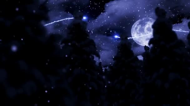Mosca mágica da árvore de Natal do luar através — Vídeo de Stock