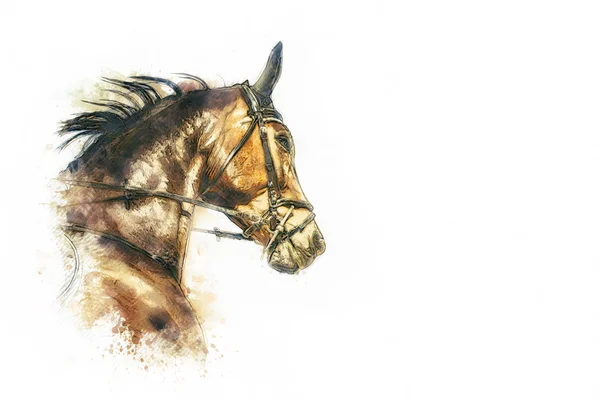 Cabeza de caballo pintura — Foto de Stock