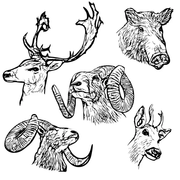森林動物 — ストックベクタ
