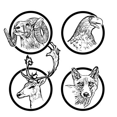 Orman hayvanları Yüzükler 2