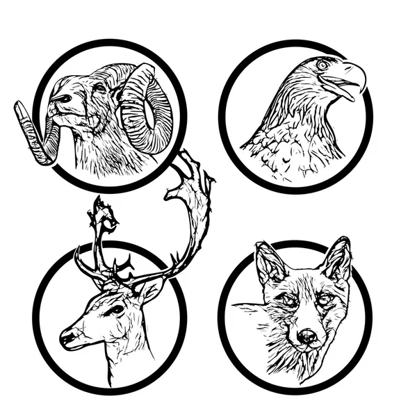 Anelli animali forestali 2 — Vettoriale Stock