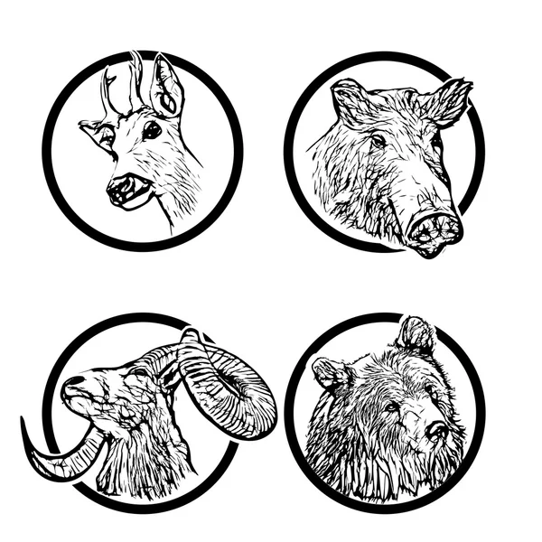 Erdei állatok gyűrű 1 — Stock Vector