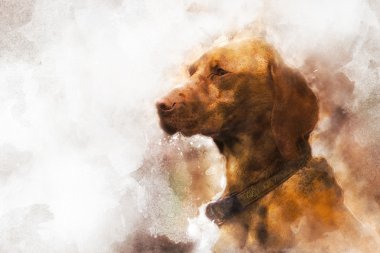 av köpeği portresi