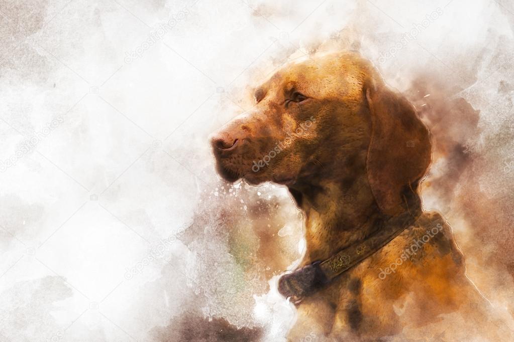 hunting dog portrait