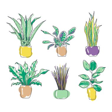 Renkli şık ev bitkileri seti. İç mekan ya da ofis için saksılarda bitkiler. Çizgi film düz vektör çizimi beyaz üzerine izole edildi