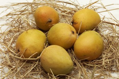Alphonso mango: maharashtra India.