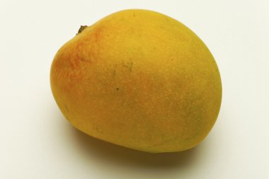 Alphonso mango Konkan Kocaeli Türkiye.