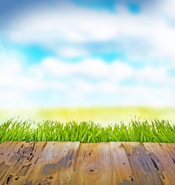 Dekorasyonunuz ve yeşil garınız için boş alanın masa arkaplanı