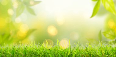 Bokeh 'le güzel doğa manzarasında eski, ahşap bir masa..