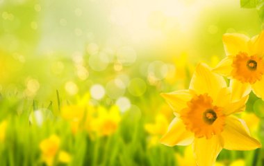 Beyaz arkaplanı izole et ve kurguyu göster.