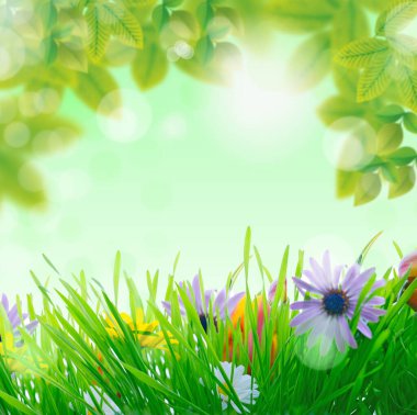 Güzel yaz mevsiminde kiraz ağacı ve bahar mevsimi, tebrik kartı..