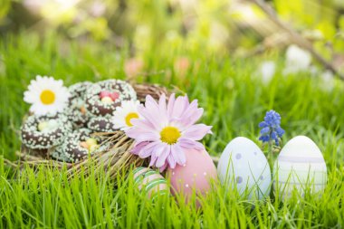 Paskalya kartı ve renkli paskalya yumurtaları bahçedeki bahar manzarasında çayırda. Arka planda ve bulanık ağaçlar. Kartpostal.