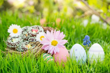 Paskalya kartı ve renkli paskalya yumurtaları bahçedeki bahar manzarasında çayırda. Arka planda ve bulanık ağaçlar. Kartpostal.