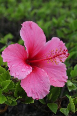 The closer you look to nature, the more interesting an beautiful it gets. 