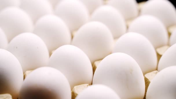 Курячі яйця в лотку — стокове відео