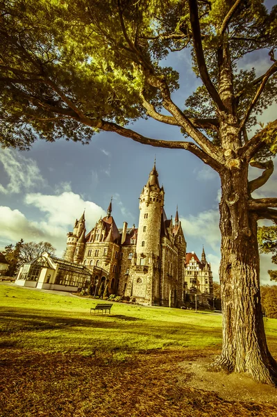 Polonya moszna Kalesi