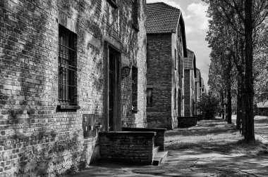 Auschwitz toplama kampında tuğla kışla ve ağaçlar.