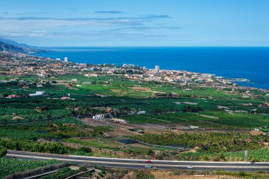 Puerto de la Cruz 'un güneşli bir günde muz ekili panoramik manzarası