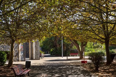 Güneşli bir günde halka açık bir park. La Laguna, Tenerife, Kanarya Adaları. İspanya