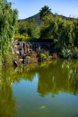Güneşli bir günde halka açık bir park. La Laguna, Tenerife, Kanarya Adaları. İspanya