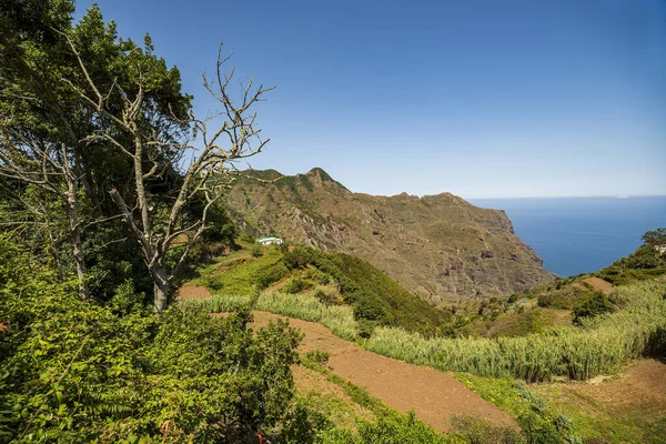 Paisagem Rural Tenerife Ilhas Canárias Espanha Dia Ensolarado — Fotografia de Stock