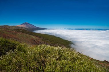 Tenerife, Kanarya Adaları, İspanya 'da güneşli bir günde çam ormanları ve bulut denizi ile Teide Ulusal Parkı